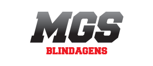 MGS BLINDAGENS